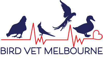 Melbourne Avian Vet