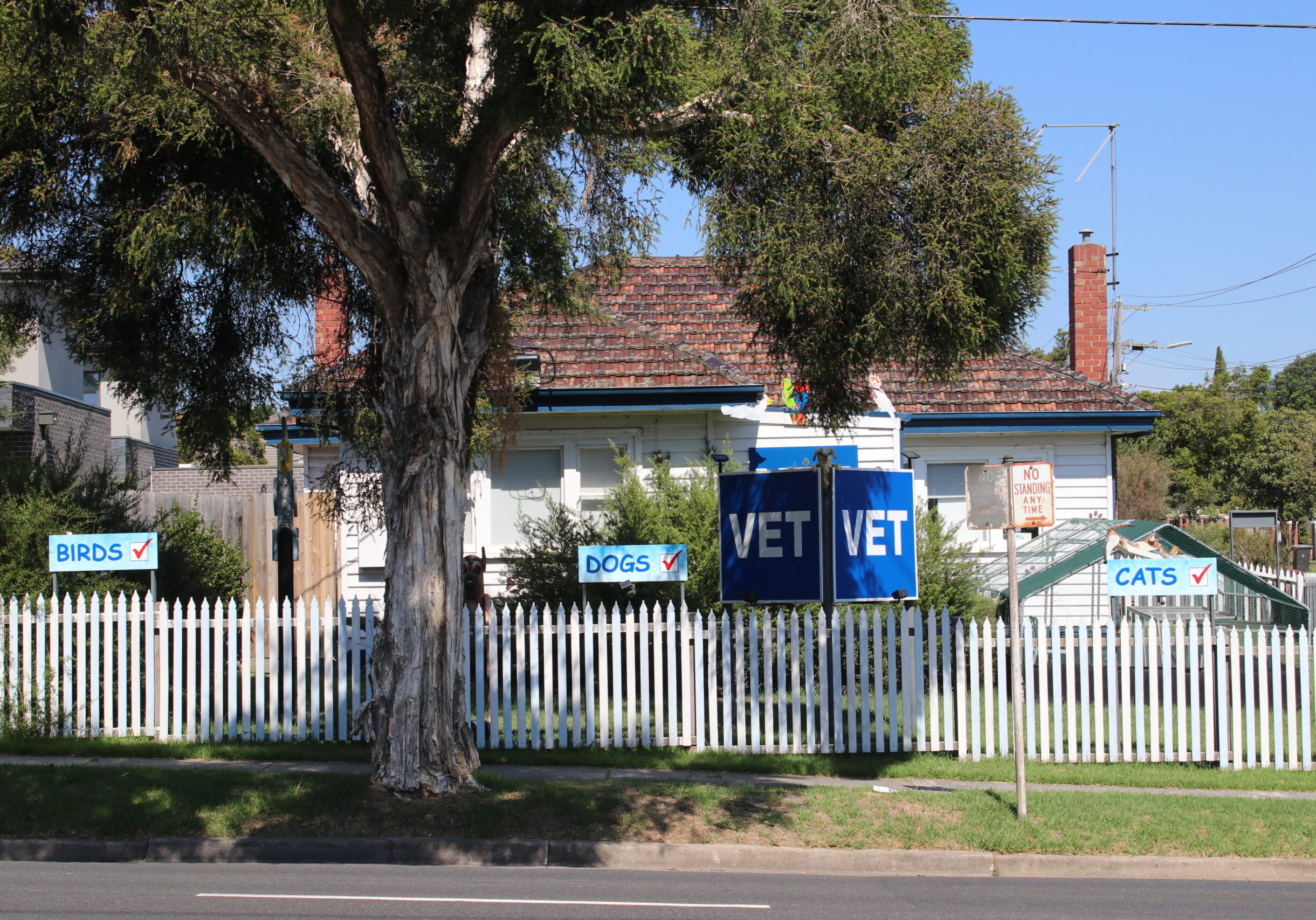 Burwood Vet Clinic